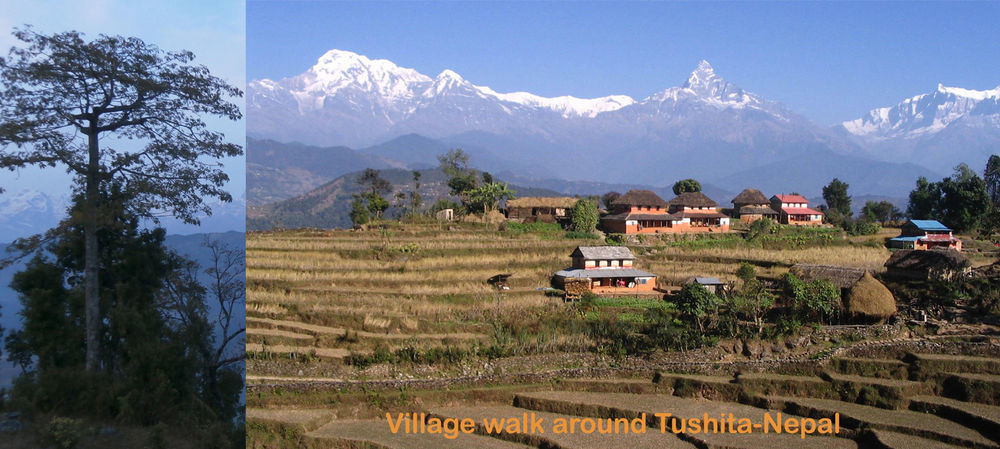 Tushita Nepal Yoga Retreat Center Hotel Pokhara Exterior foto